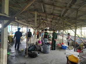 环保利剑高悬，废塑料厂“整改”岂容“暗度陈仓”？